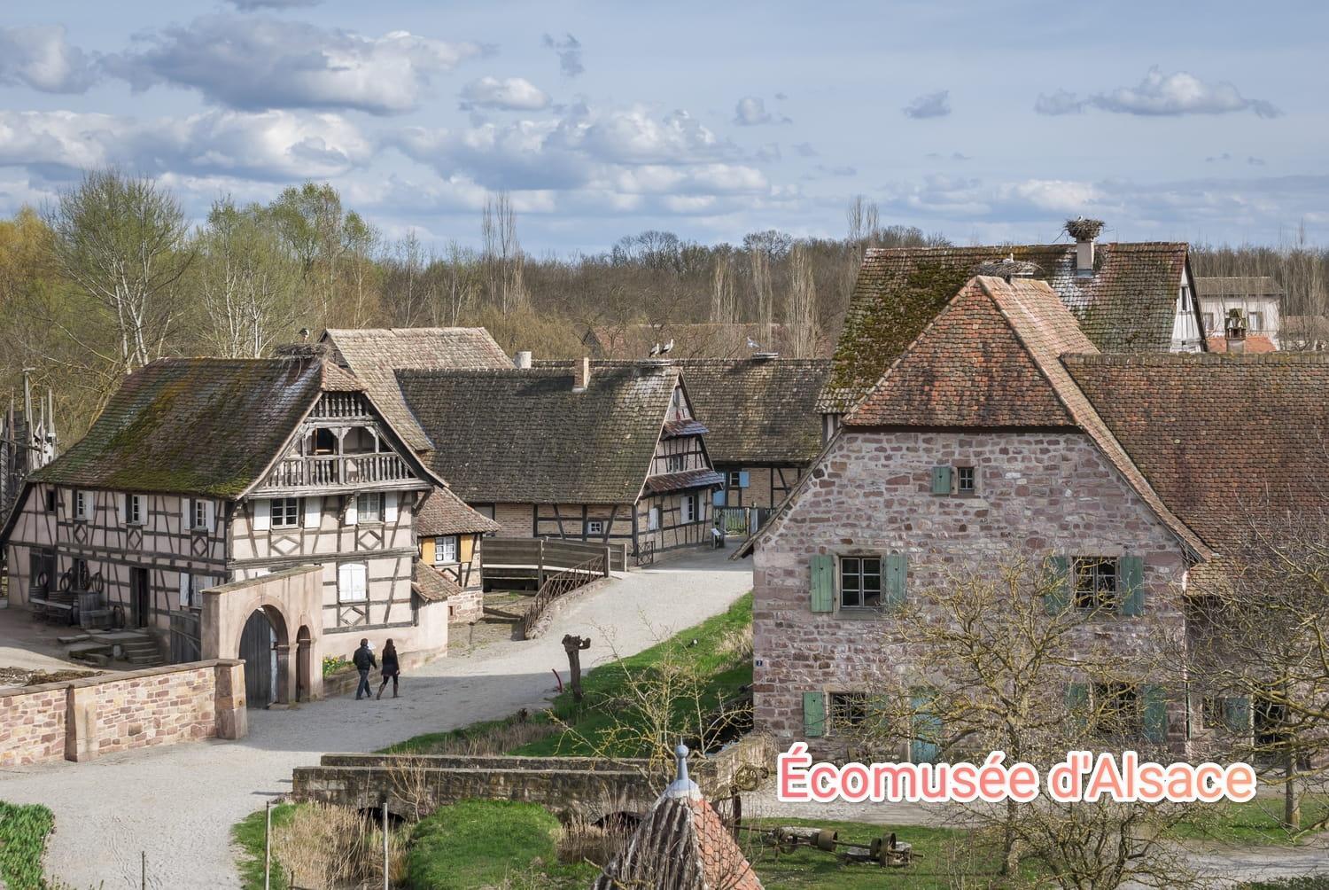 Entre Ville Et Vignes - Gite Classe 3 Etoiles Ingersheim Exterior foto