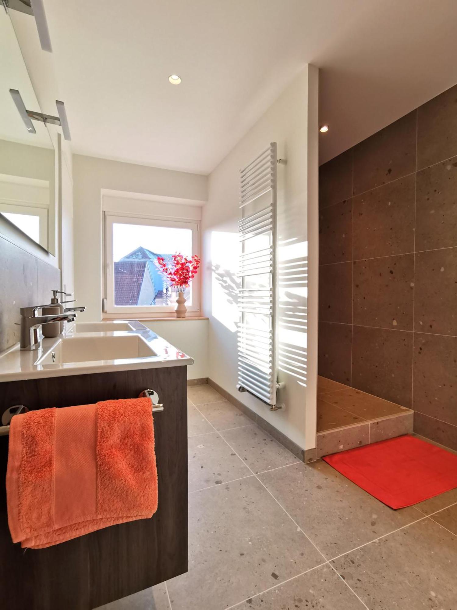 Entre Ville Et Vignes - Gite Classe 3 Etoiles Ingersheim Exterior foto