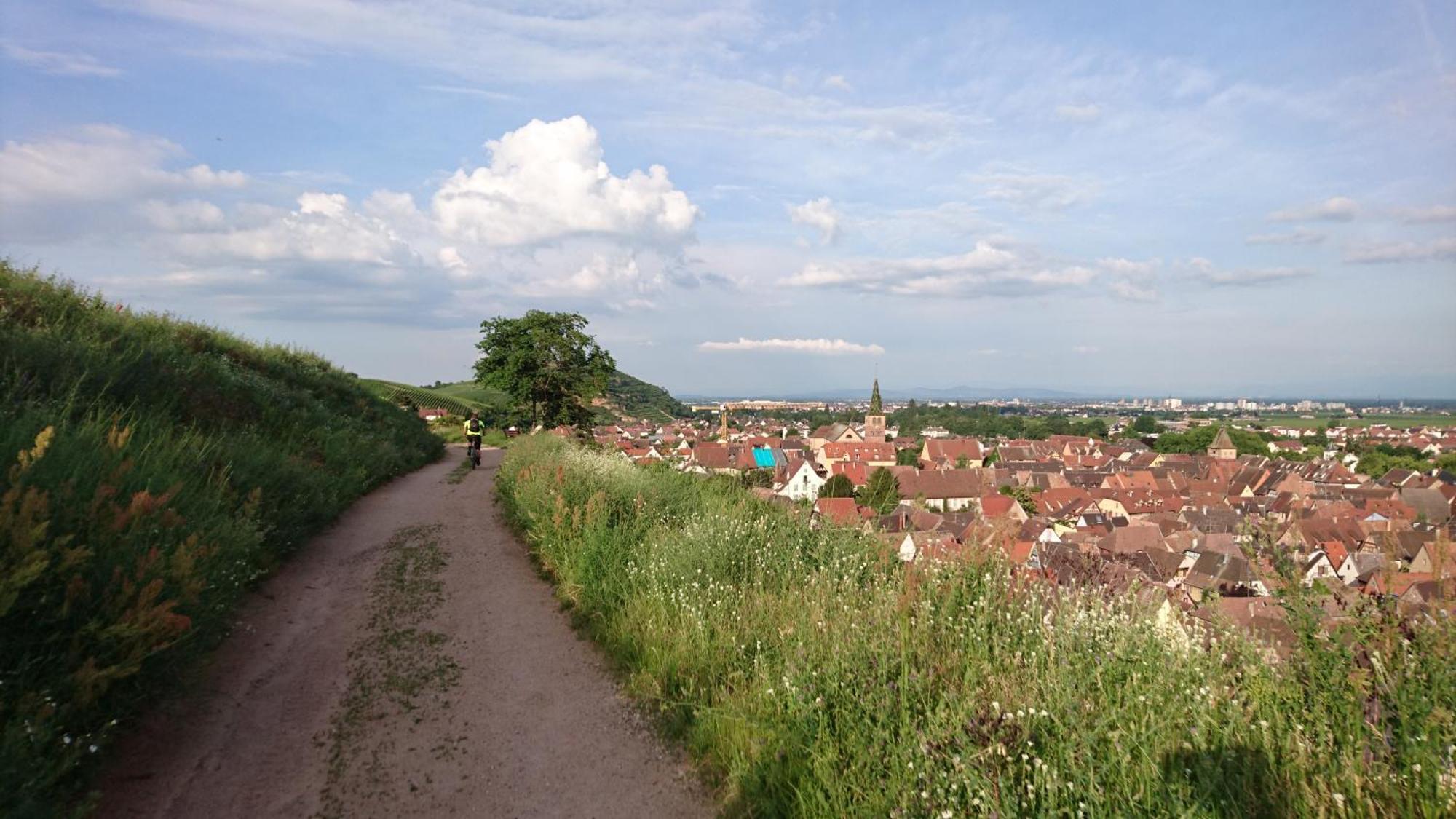 Entre Ville Et Vignes - Gite Classe 3 Etoiles Ingersheim Exterior foto